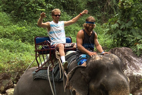 elephant ride